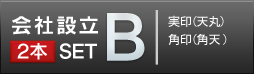 会社設立Bセット 薩摩本柘