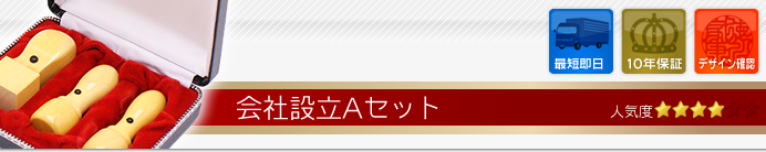 会社設立Aセット