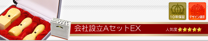 会社設立Aセット