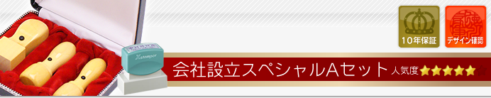 会社設立Aセット