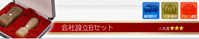 会社設立Bセット