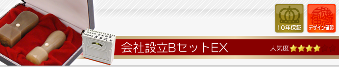 会社設立Bセット