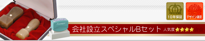会社設立Bセット