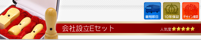 会社設立Eセット