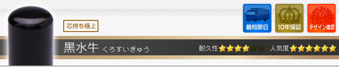LLP設立G2セット 黒水牛