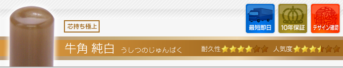 LLP設立G2セット 牛角・純白