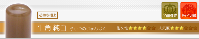 会社設立Bセット SP 牛角・純白
