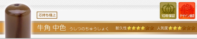 会社設立Bセット SP 牛角・中色