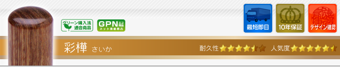 LLP設立G2セット 彩樺
