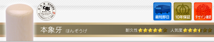 会社設立Bセット 本象牙