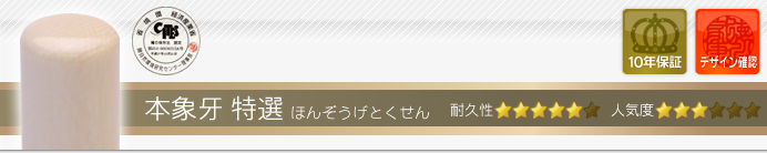 会社設立Bセット SP 本象牙